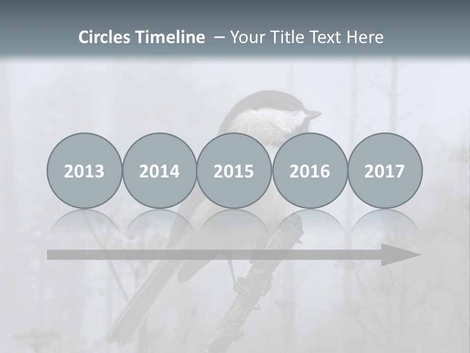 Carolina Chickadee PowerPoint Template