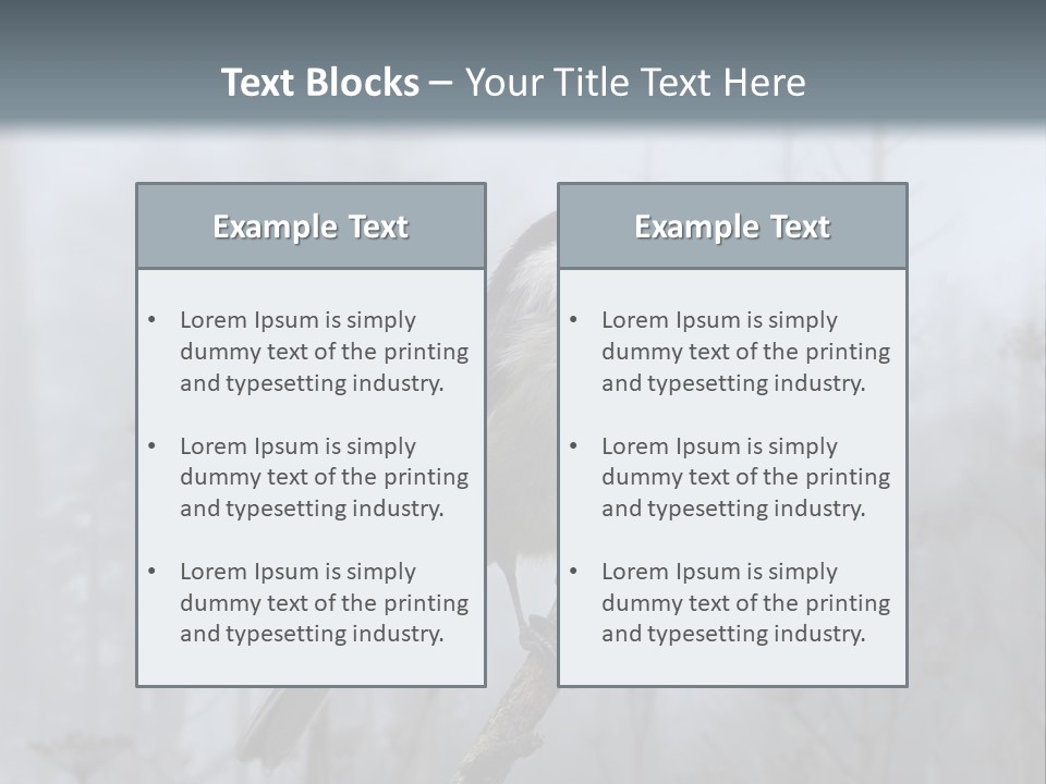 Carolina Chickadee PowerPoint Template