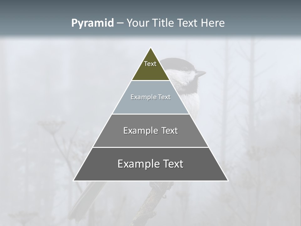 Carolina Chickadee PowerPoint Template