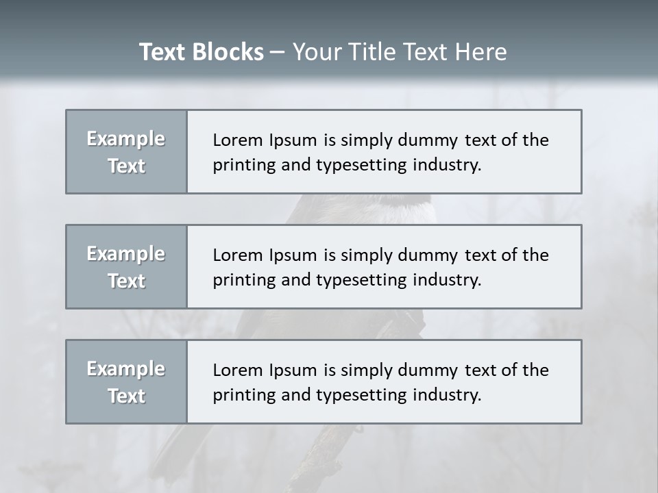 Carolina Chickadee PowerPoint Template