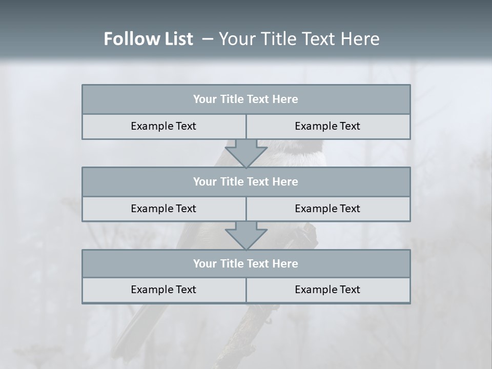 Carolina Chickadee PowerPoint Template