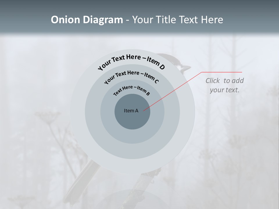 Carolina Chickadee PowerPoint Template