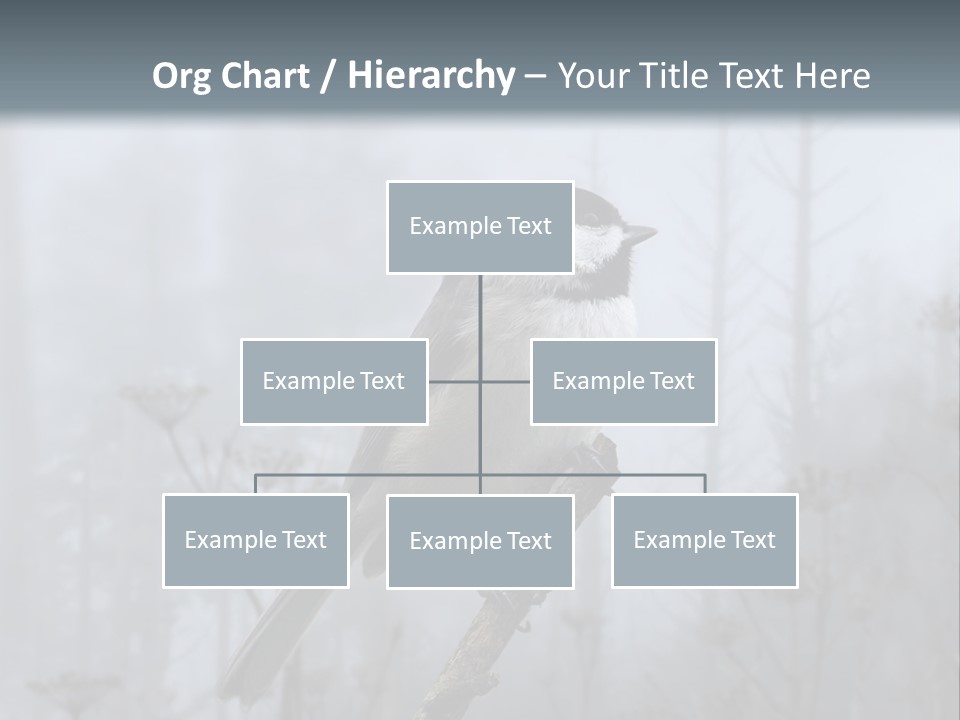 Carolina Chickadee PowerPoint Template