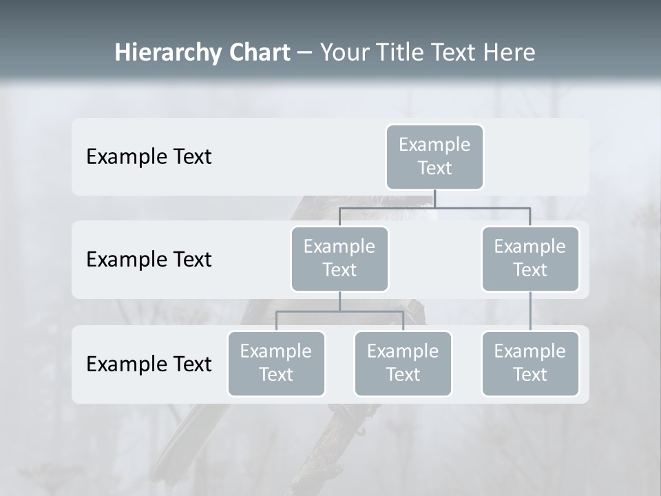 Carolina Chickadee PowerPoint Template