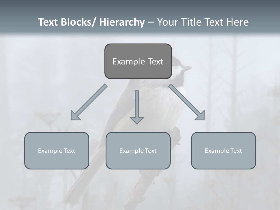 Carolina Chickadee PowerPoint Template