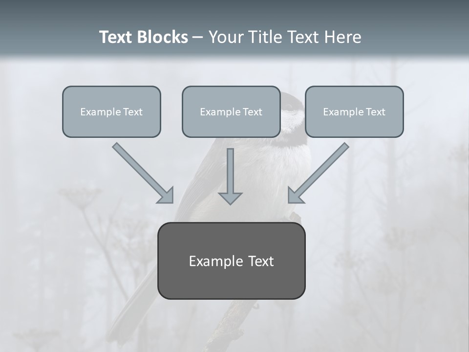 Carolina Chickadee PowerPoint Template