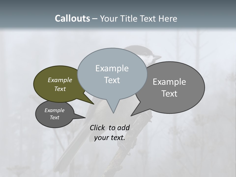 Carolina Chickadee PowerPoint Template