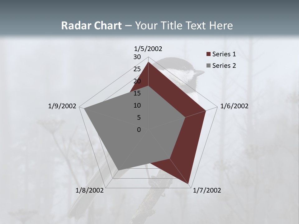 Carolina Chickadee PowerPoint Template