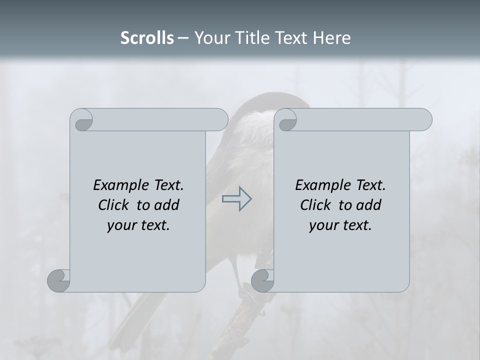 Carolina Chickadee PowerPoint Template