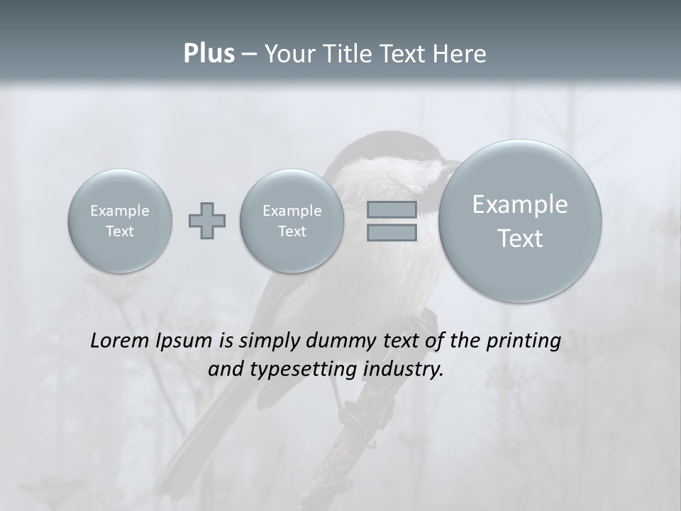 Carolina Chickadee PowerPoint Template