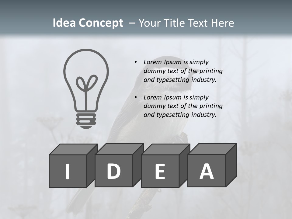 Carolina Chickadee PowerPoint Template