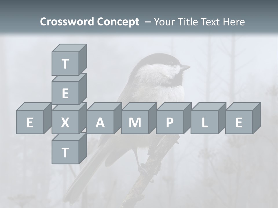 Carolina Chickadee PowerPoint Template
