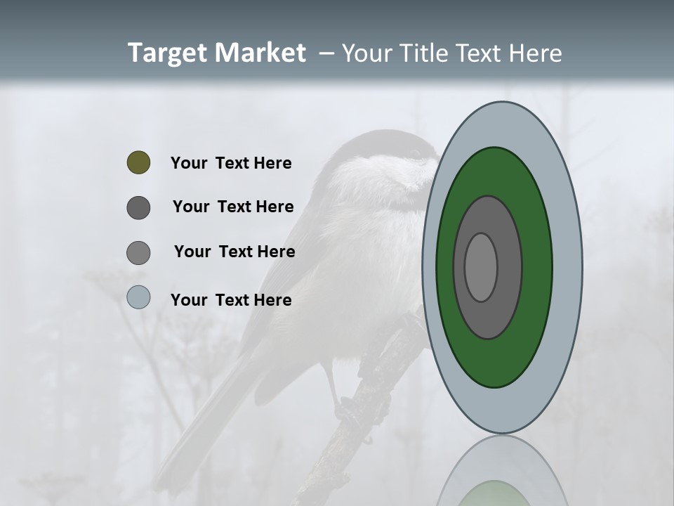 Carolina Chickadee PowerPoint Template