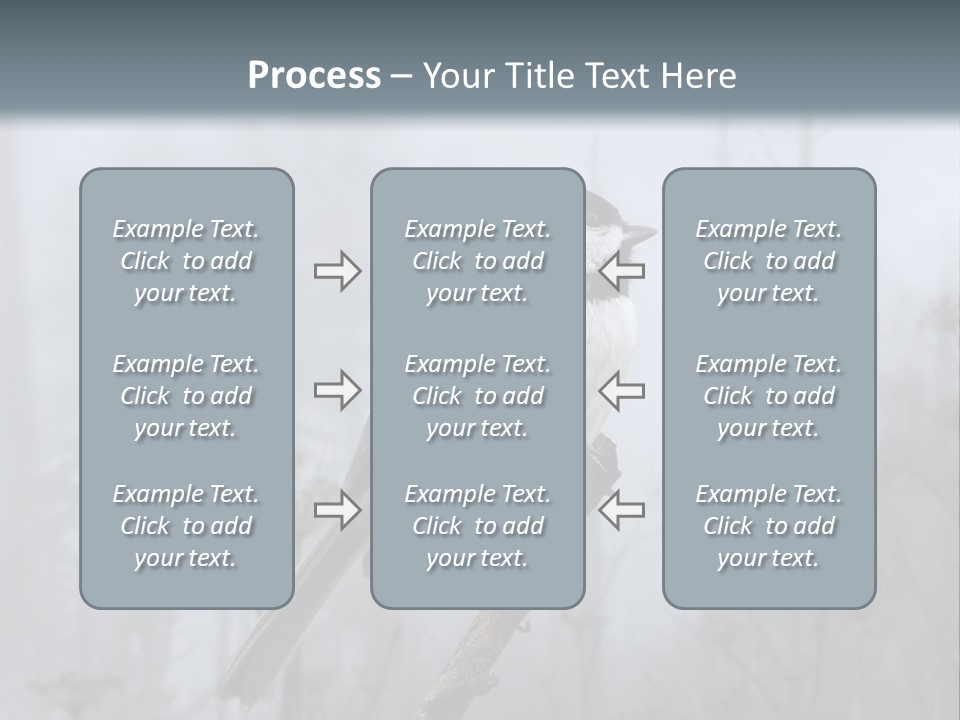 Carolina Chickadee PowerPoint Template