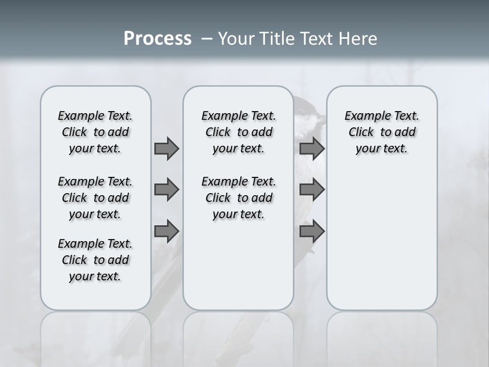 Carolina Chickadee PowerPoint Template