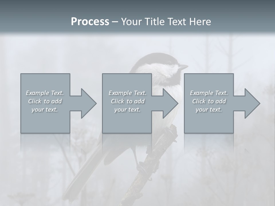 Carolina Chickadee PowerPoint Template