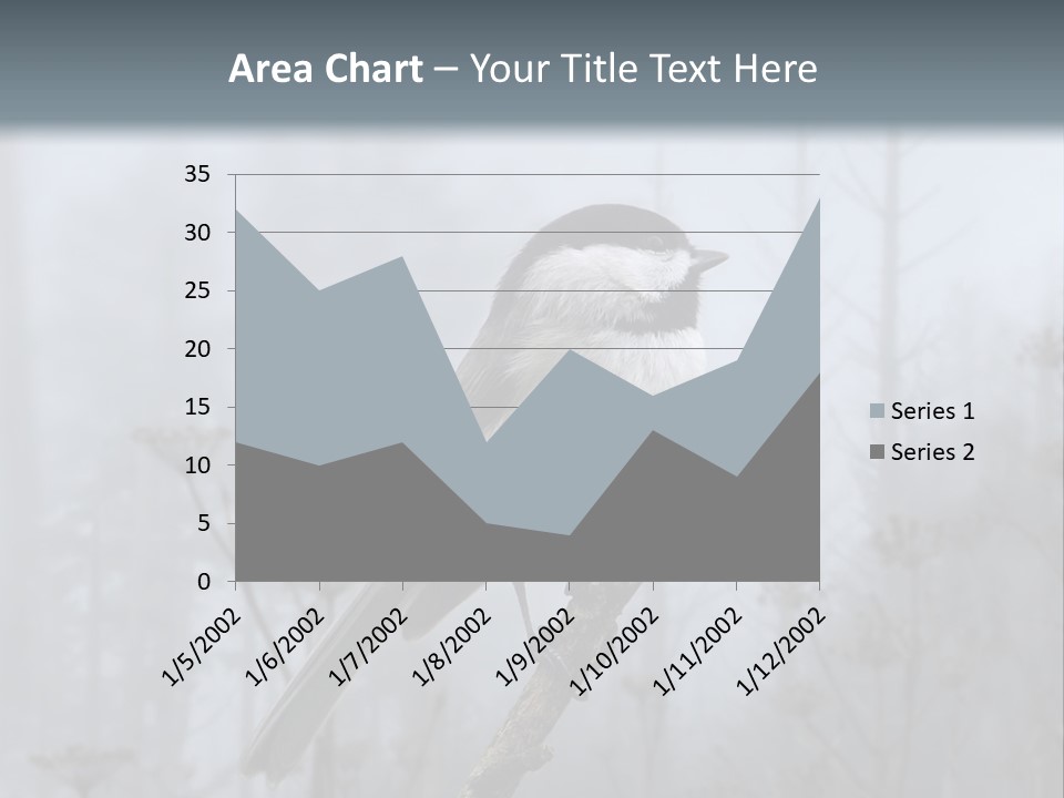 Carolina Chickadee PowerPoint Template