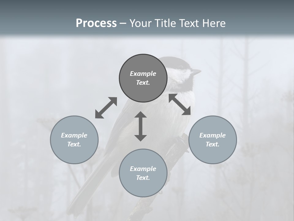 Carolina Chickadee PowerPoint Template
