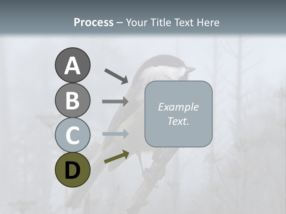 Carolina Chickadee PowerPoint Template