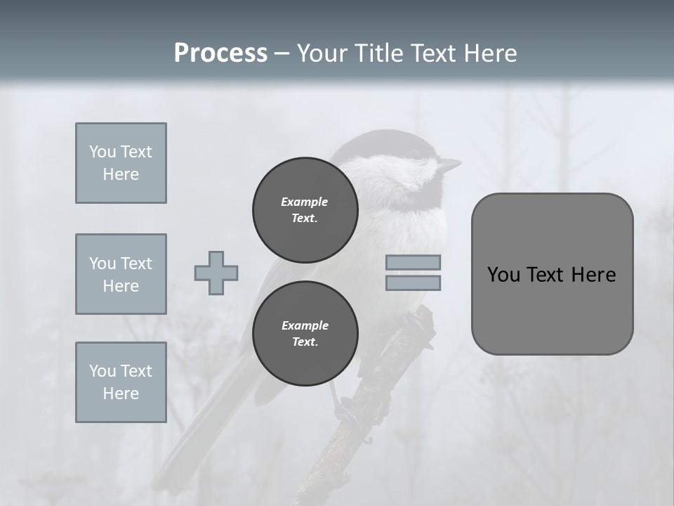 Carolina Chickadee PowerPoint Template