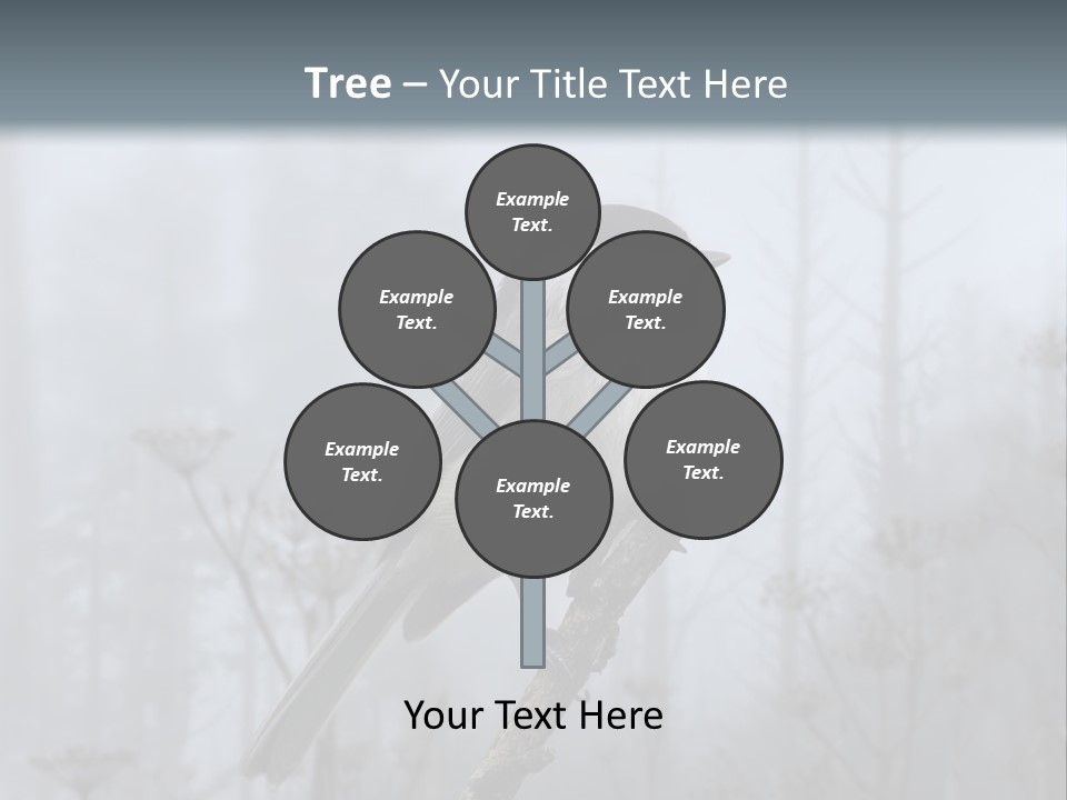 Carolina Chickadee PowerPoint Template