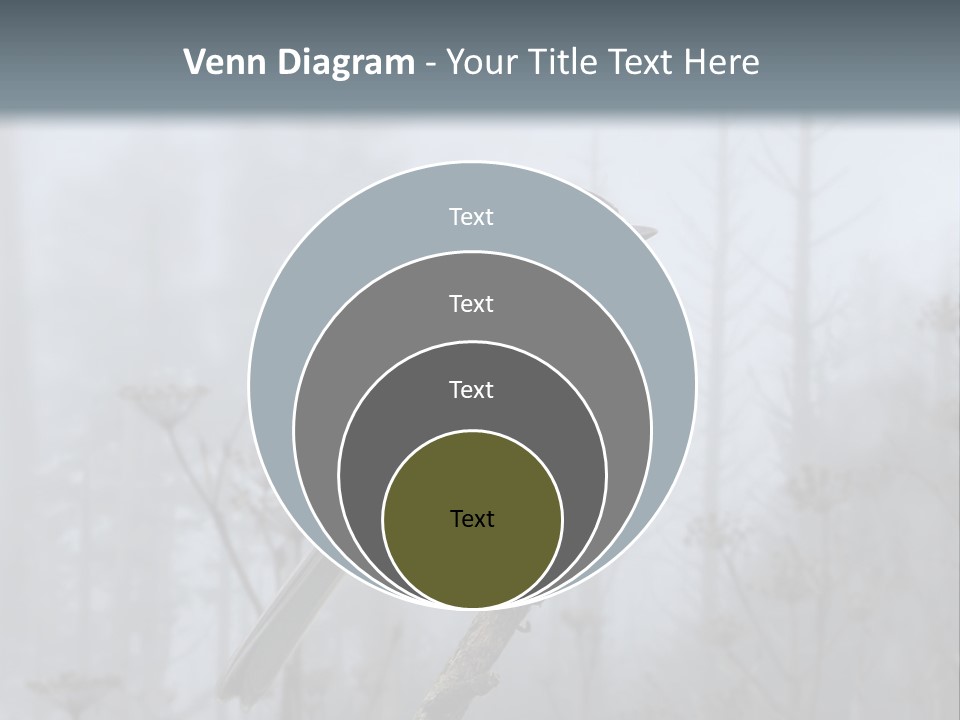 Carolina Chickadee PowerPoint Template