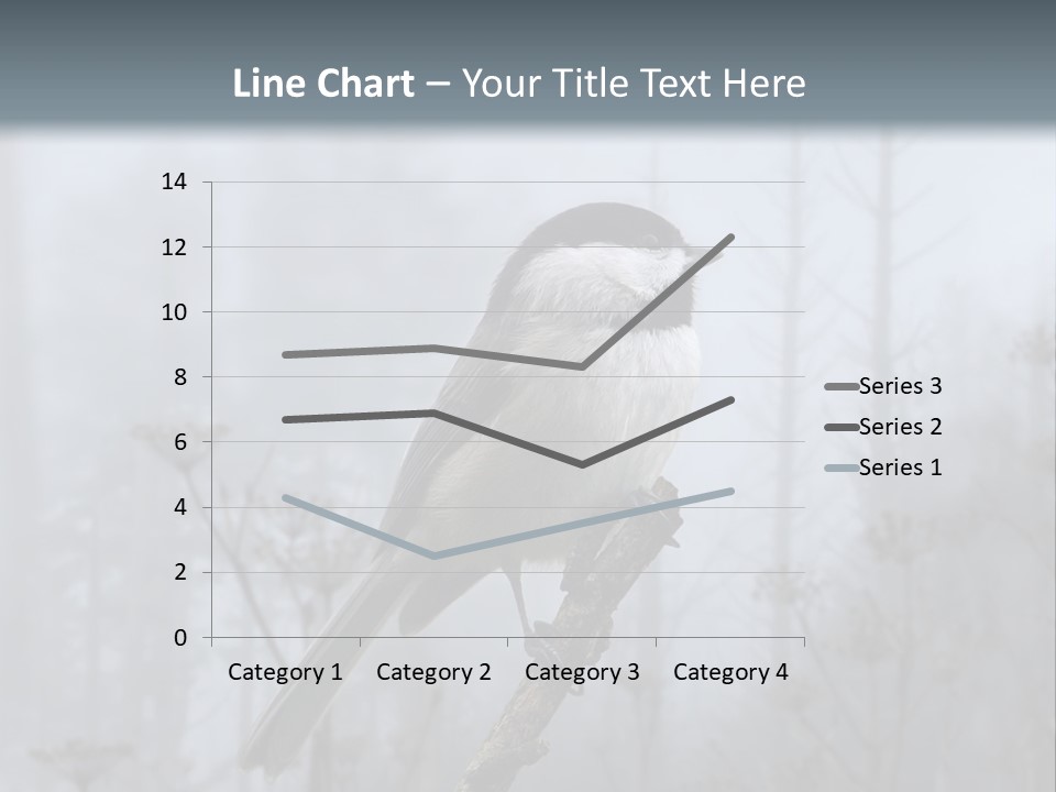 Carolina Chickadee PowerPoint Template
