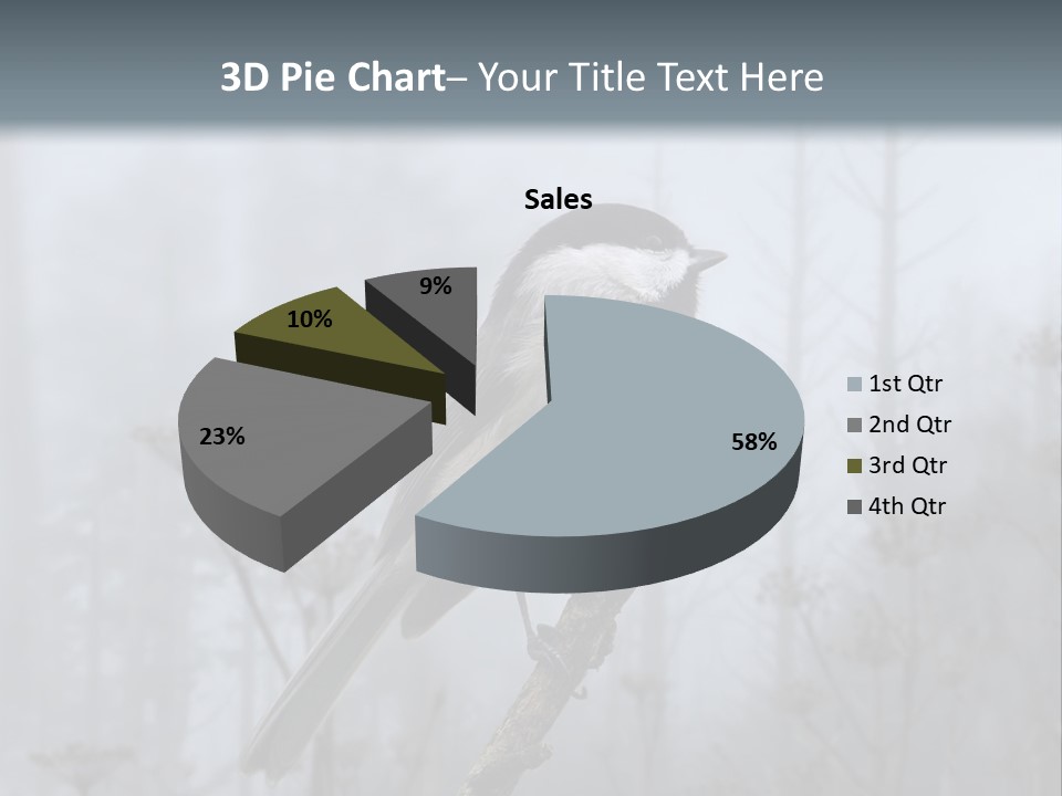 Carolina Chickadee PowerPoint Template