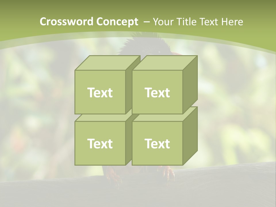 Seychelles Bul Bul PowerPoint Template