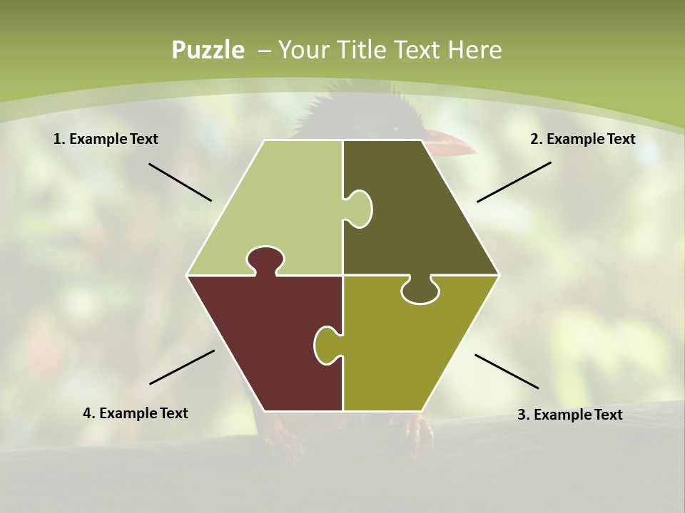 Seychelles Bul Bul PowerPoint Template