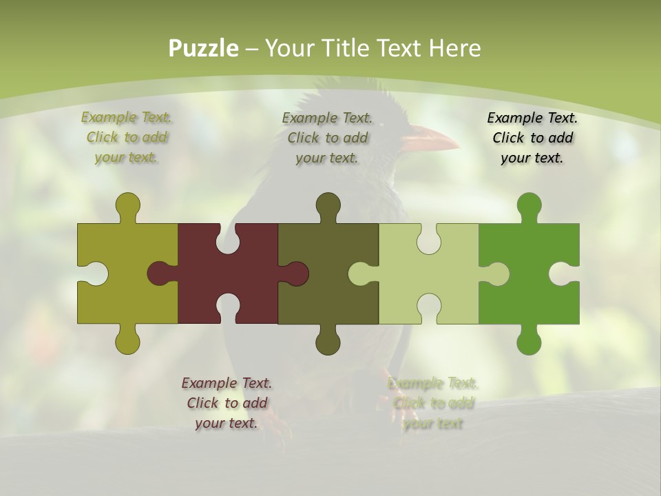 Seychelles Bul Bul PowerPoint Template