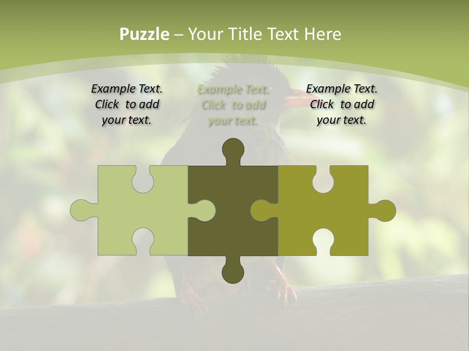 Seychelles Bul Bul PowerPoint Template