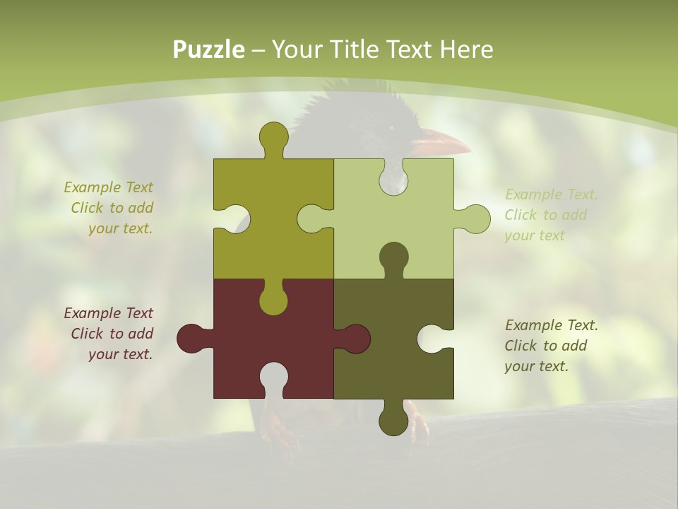 Seychelles Bul Bul PowerPoint Template