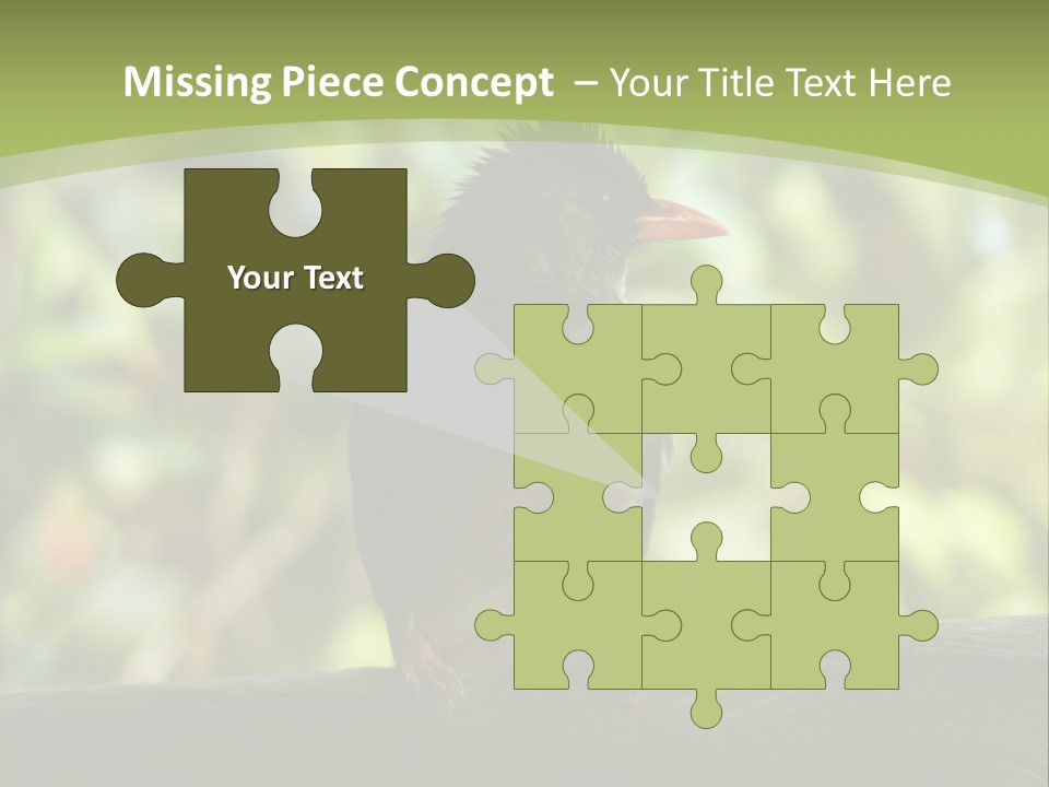 Seychelles Bul Bul PowerPoint Template