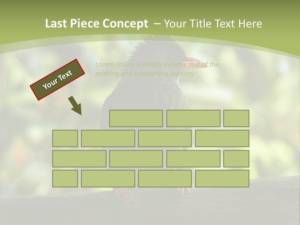 Seychelles Bul Bul PowerPoint Template