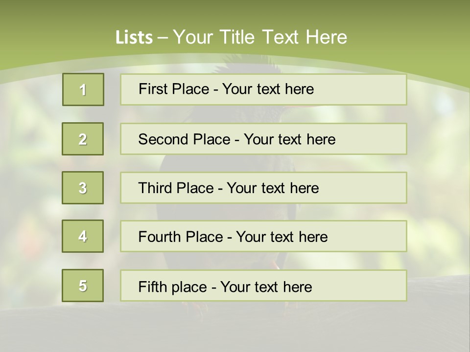 Seychelles Bul Bul PowerPoint Template