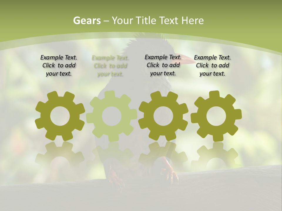 Seychelles Bul Bul PowerPoint Template