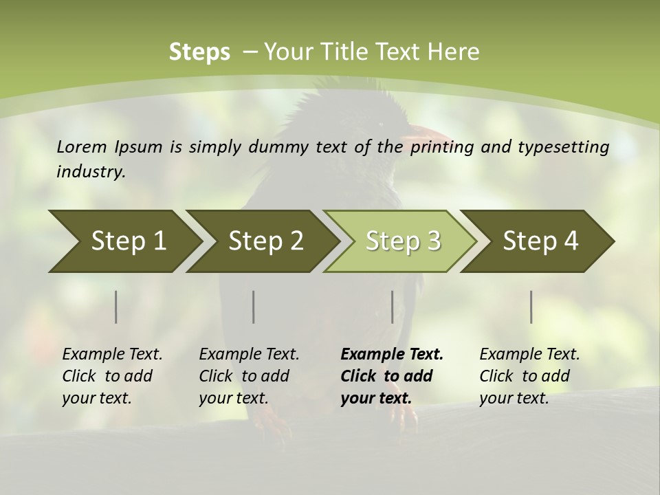 Seychelles Bul Bul PowerPoint Template