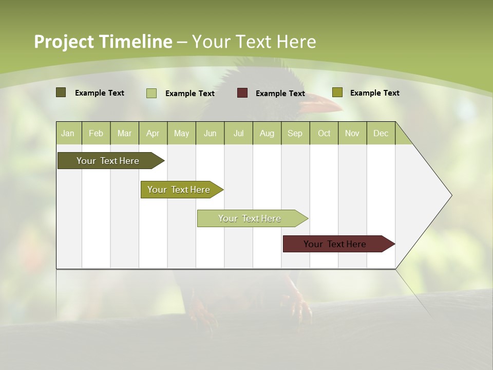 Seychelles Bul Bul PowerPoint Template