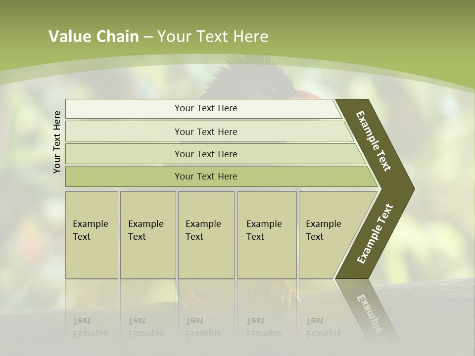 Seychelles Bul Bul PowerPoint Template