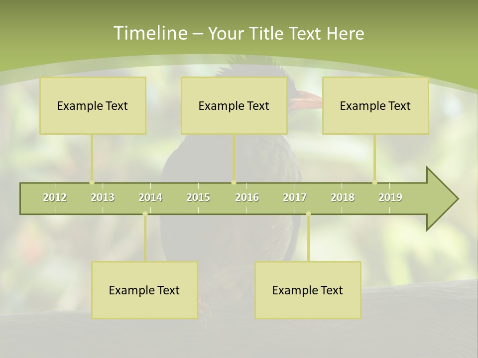Seychelles Bul Bul PowerPoint Template