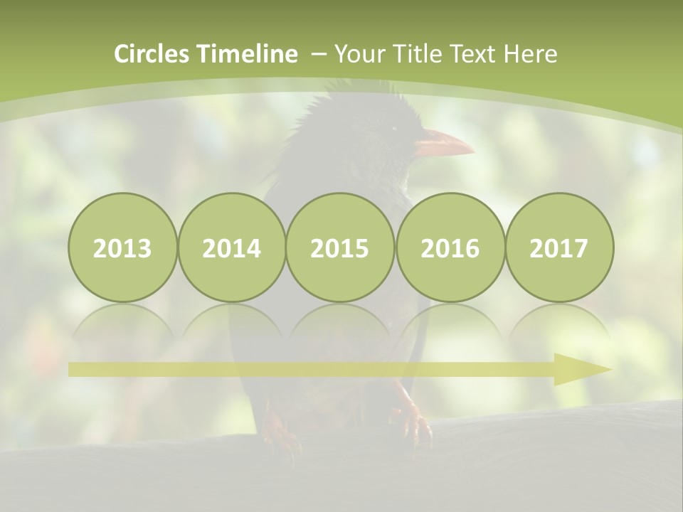 Seychelles Bul Bul PowerPoint Template