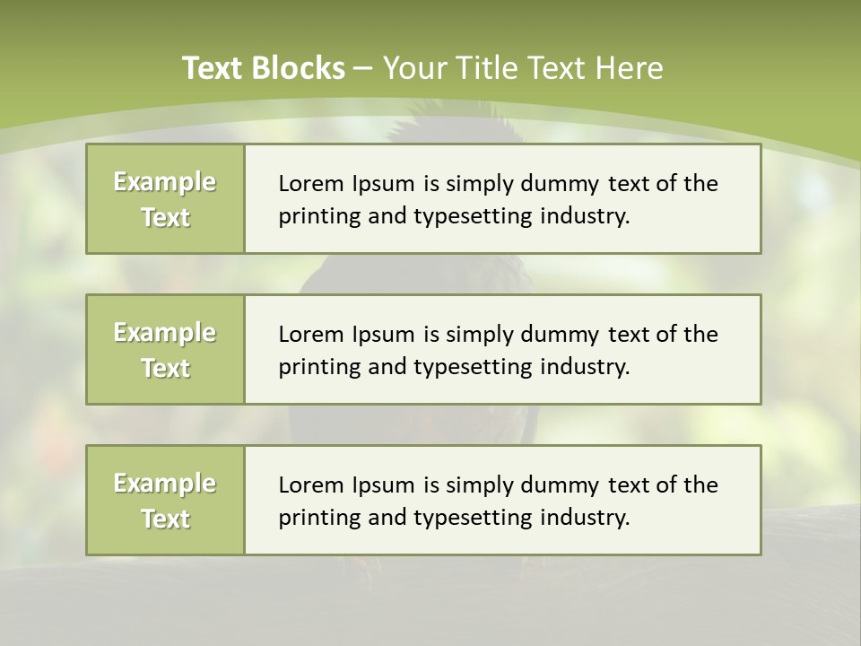 Seychelles Bul Bul PowerPoint Template