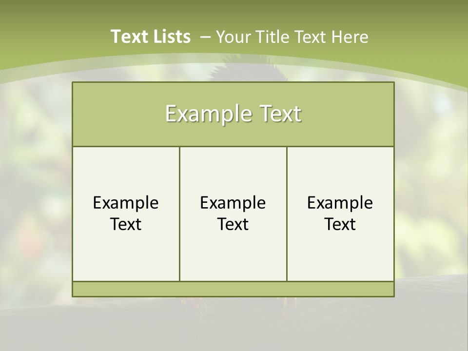 Seychelles Bul Bul PowerPoint Template