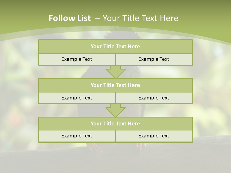 Seychelles Bul Bul PowerPoint Template