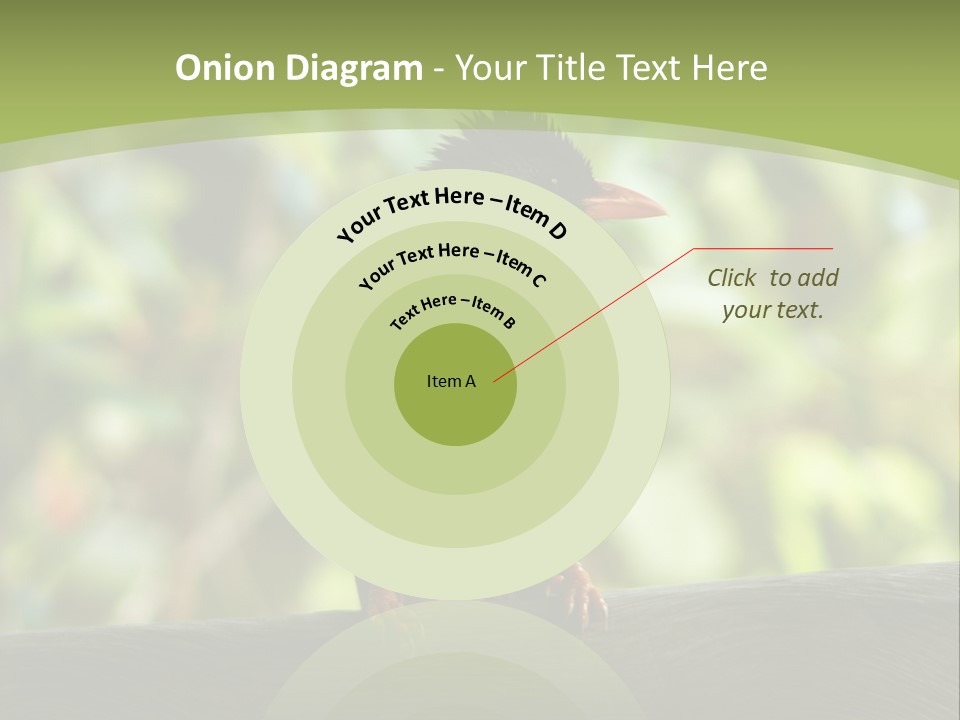 Seychelles Bul Bul PowerPoint Template