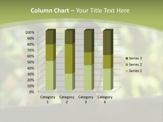 Seychelles Bul Bul PowerPoint Template