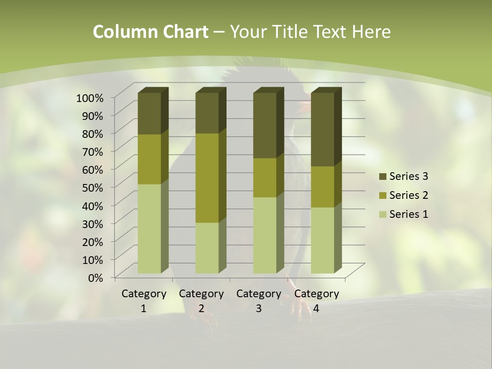 Seychelles Bul Bul PowerPoint Template
