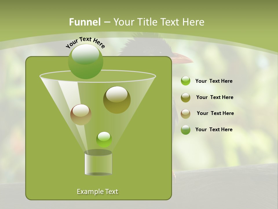 Seychelles Bul Bul PowerPoint Template