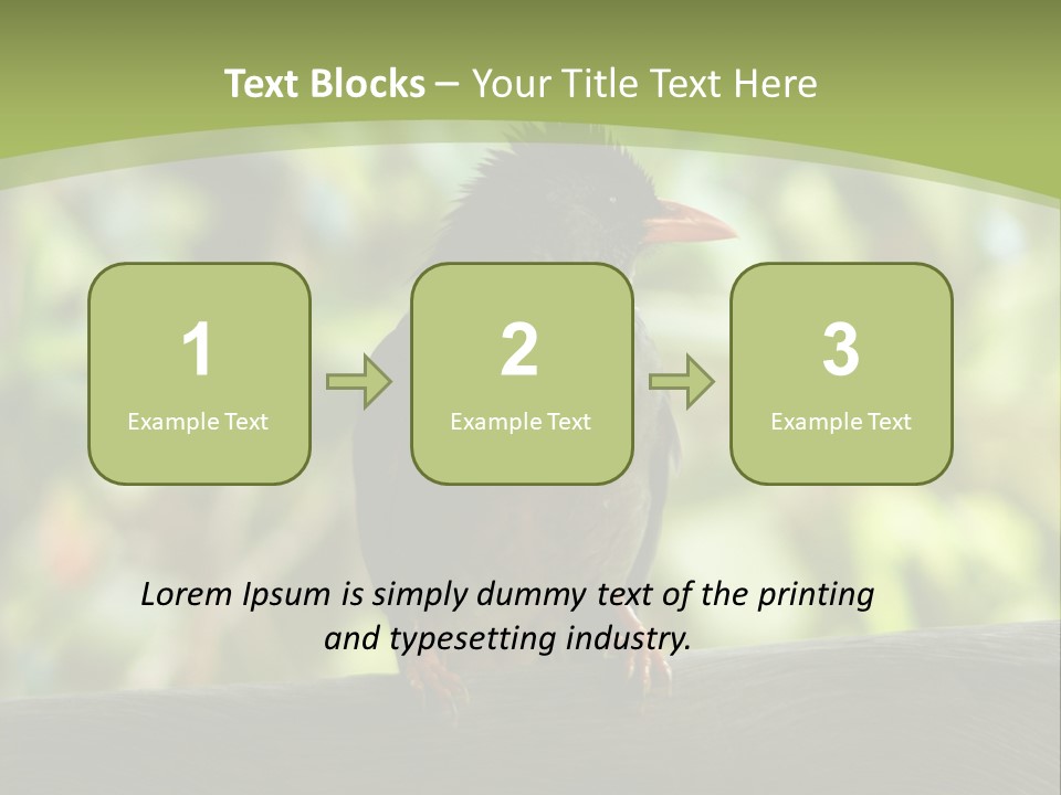 Seychelles Bul Bul PowerPoint Template